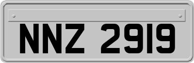 NNZ2919