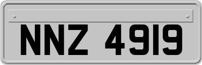 NNZ4919
