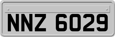 NNZ6029