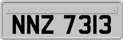 NNZ7313