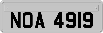 NOA4919