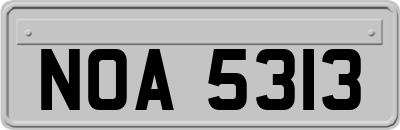 NOA5313