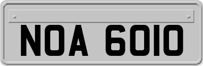 NOA6010