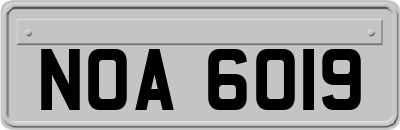 NOA6019