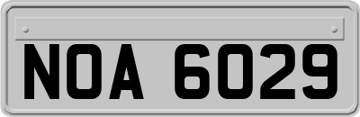 NOA6029
