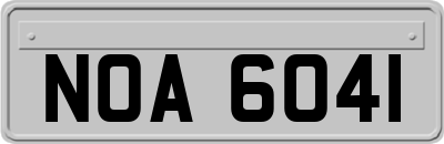 NOA6041