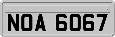 NOA6067