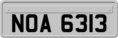NOA6313
