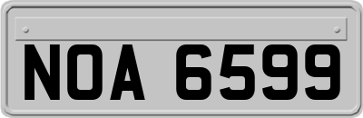 NOA6599