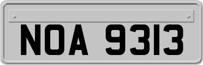 NOA9313