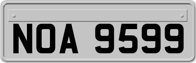NOA9599