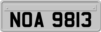 NOA9813