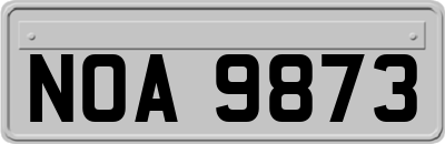 NOA9873