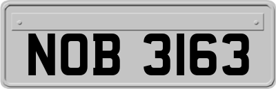 NOB3163
