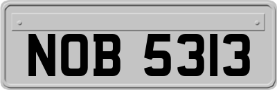 NOB5313