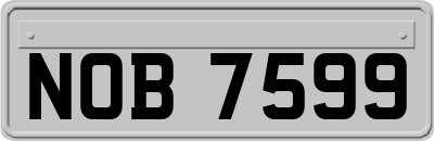 NOB7599
