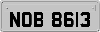 NOB8613