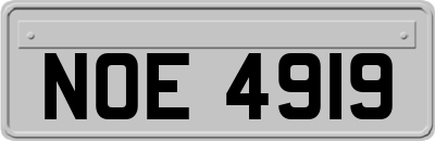 NOE4919