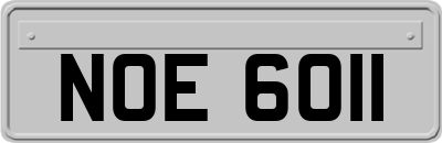 NOE6011