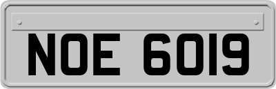 NOE6019