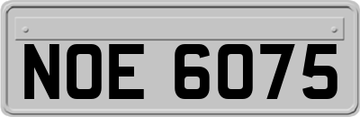 NOE6075