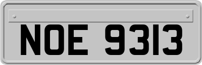NOE9313