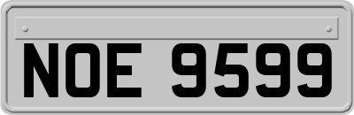 NOE9599