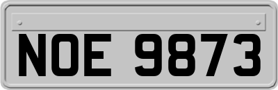 NOE9873