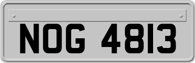 NOG4813