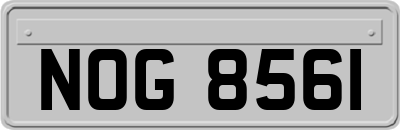 NOG8561