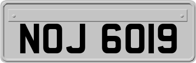 NOJ6019