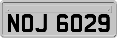 NOJ6029