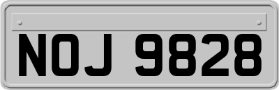 NOJ9828