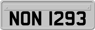 NON1293
