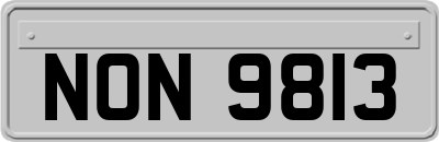 NON9813