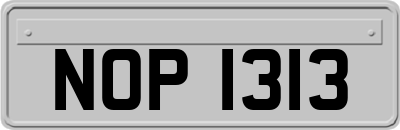 NOP1313