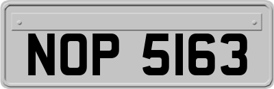 NOP5163