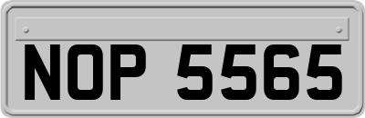 NOP5565