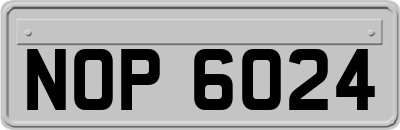 NOP6024