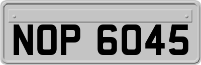 NOP6045