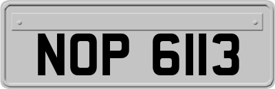 NOP6113