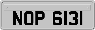 NOP6131