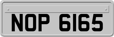 NOP6165