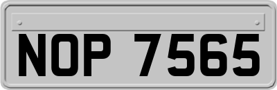 NOP7565