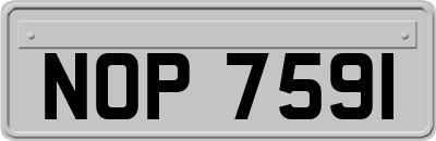 NOP7591