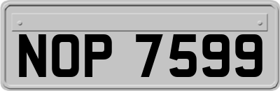 NOP7599