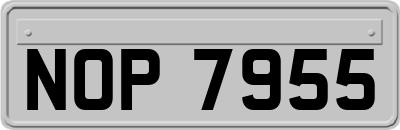 NOP7955
