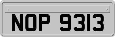 NOP9313