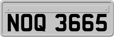NOQ3665