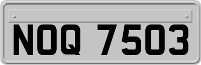 NOQ7503